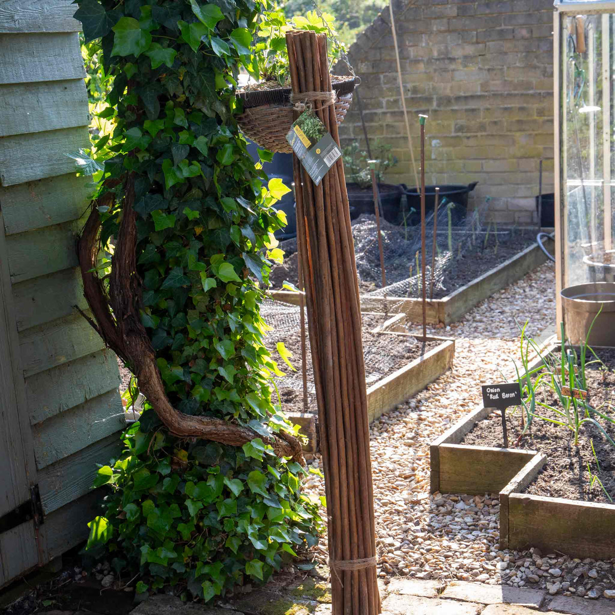 Grow It Willow Plant Sticks | Marshalls Garden