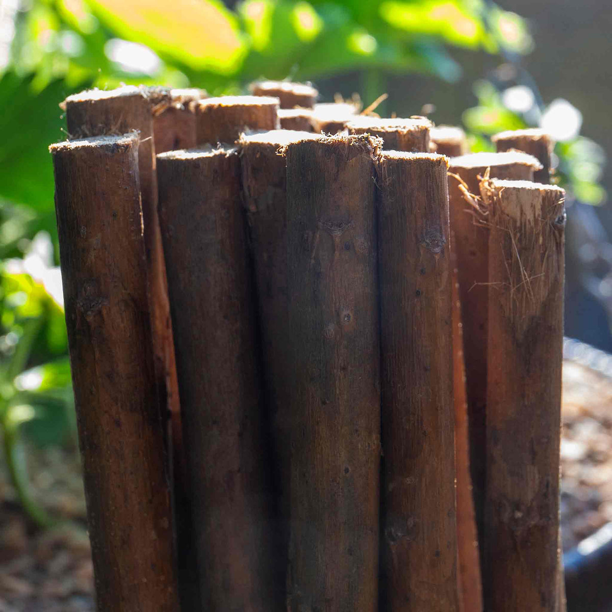 Growing Stick Grow It Willow Plant Sticks | Marshalls Garden