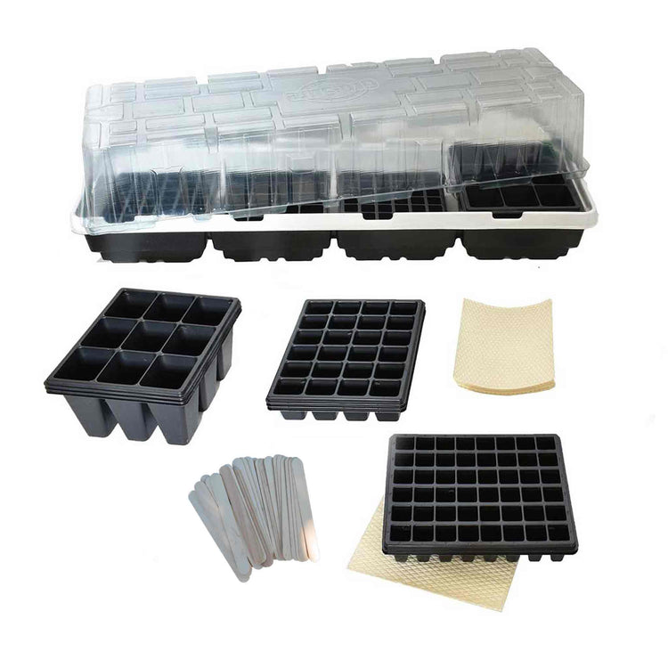 Windowsill Propagator Kit