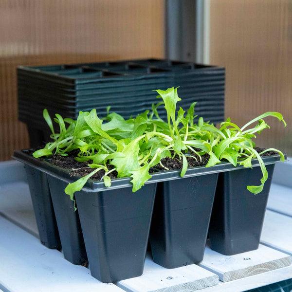 12 x 9 Cell Deep Seed Tray