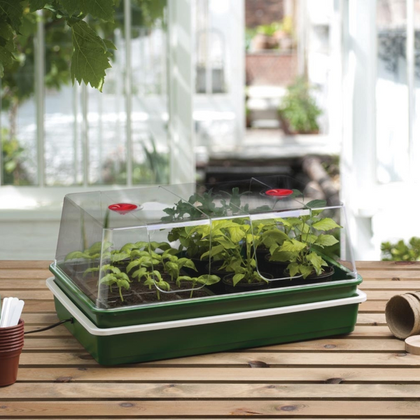 High Dome Electric Propagator XL