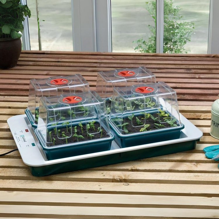 4 Top Automatic Temperature Control Electric Propagator