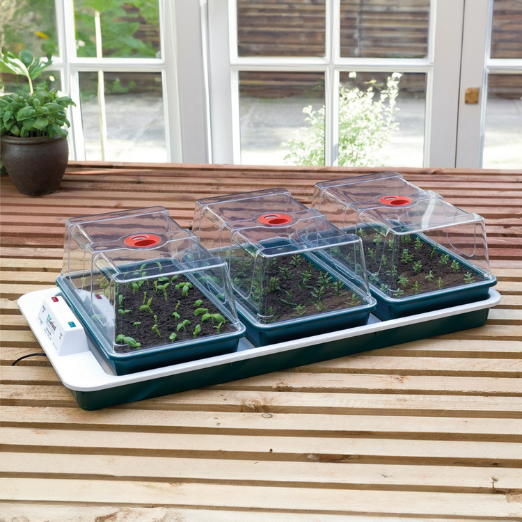 Big 3 Automatic Temperature Control Electric Propagator