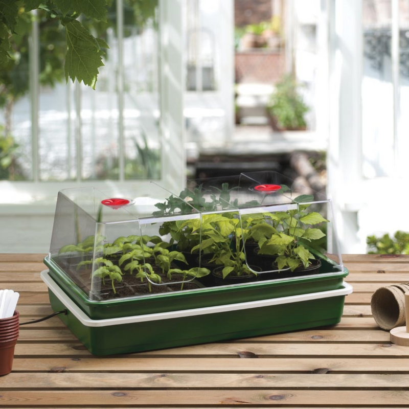 Variable Temperature Control Electric Propagator