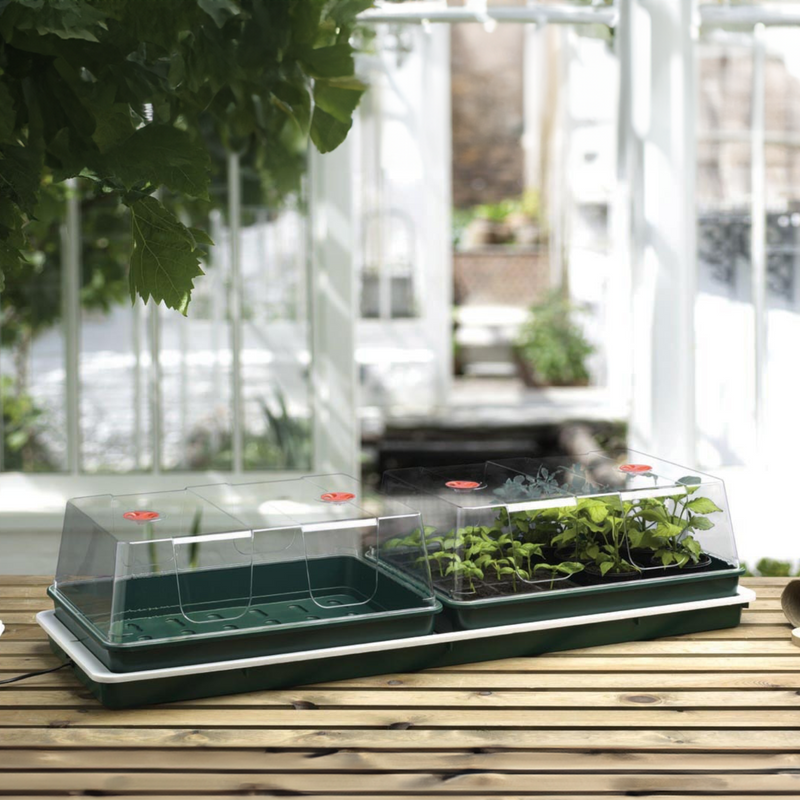 Jumbo Variable Temperature Control Electric Propagator