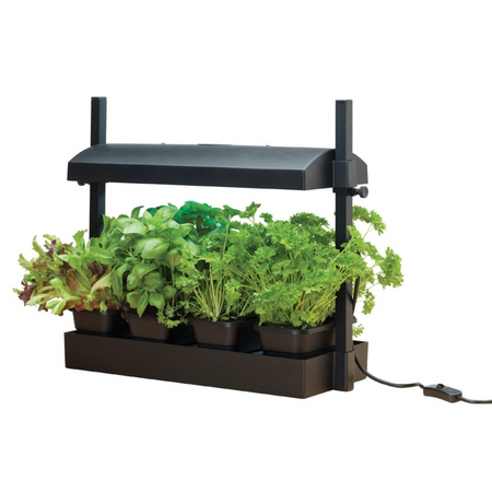 Micro Grow Light Garden LED