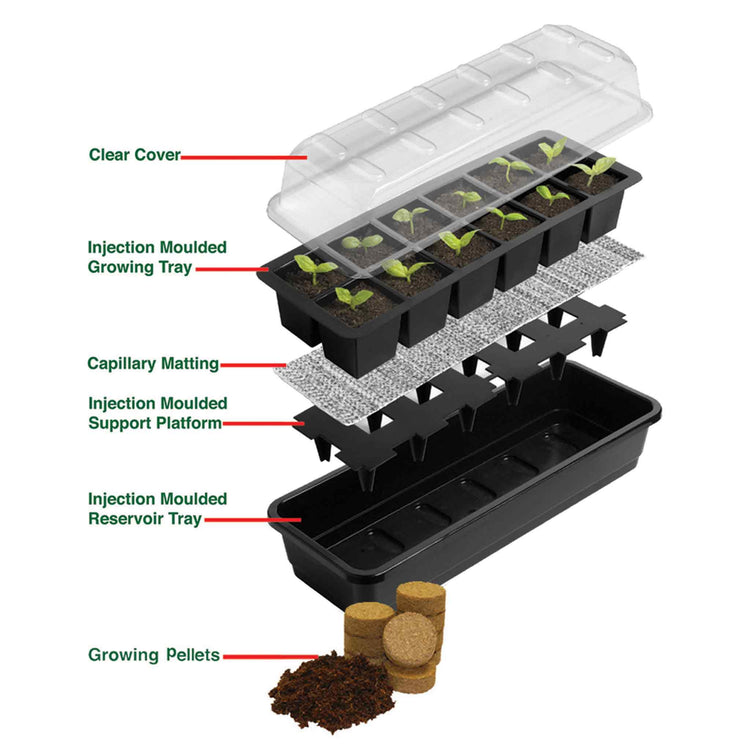 Ultimate 12 Cell Self Watering Seed Success Kit