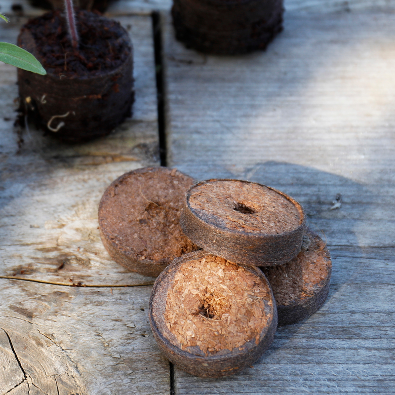 Gro-Sure Peat Free Compost Growing Discs