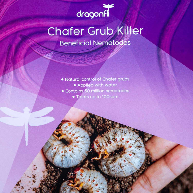 DragonFli Chafer Grub Killer Nematodes 100sqm