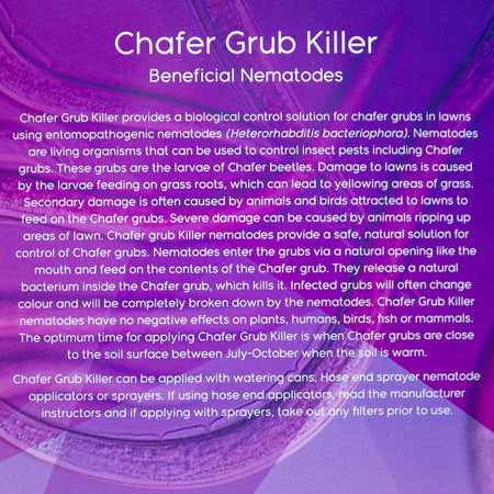 DragonFli Chafer Grub Killer Nematodes 100sqm