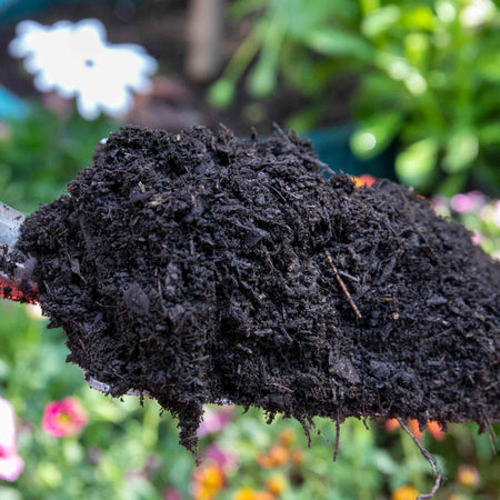 Dalefoot Wool Compost for Potting 30L
