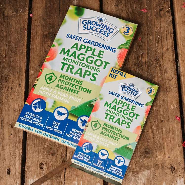 Growing Success Apple Maggot Monitoring Trap