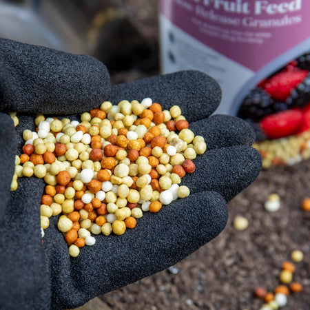 Concentrated Slow Release Soft Fruit Feed Granules