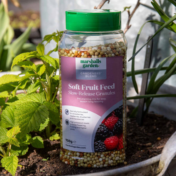 Concentrated Slow Release Soft Fruit Feed Granules