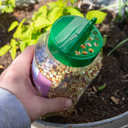Concentrated Slow Release Soft Fruit Feed Granules
