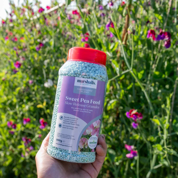 fertilizer for pea plants Concentrated Slow Release Sweet Pea Feed Granules