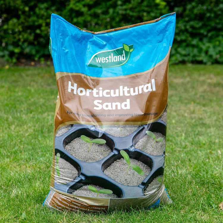 sand for planting seeds Westland Horticultural Sand