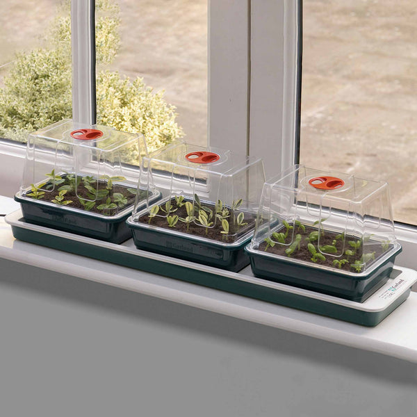 Trio Top Electric Windowsill Propagator