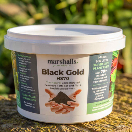 Bio-Gro Black Gold Fertiliser 400g