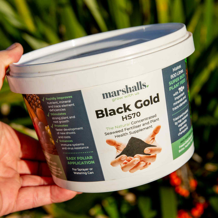 black gold fertilizer for plants Bio-Gro Black Gold Fertiliser 400g