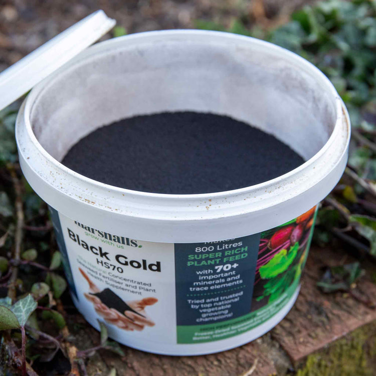 Bio-Gro Black Gold Fertiliser 400g