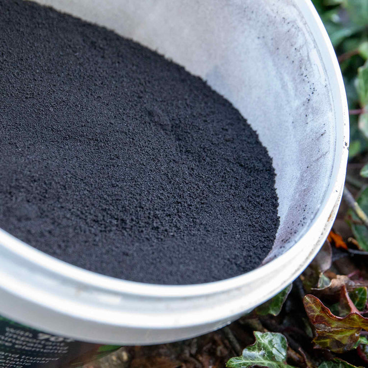 Bio-Gro Black Gold Fertiliser 400g