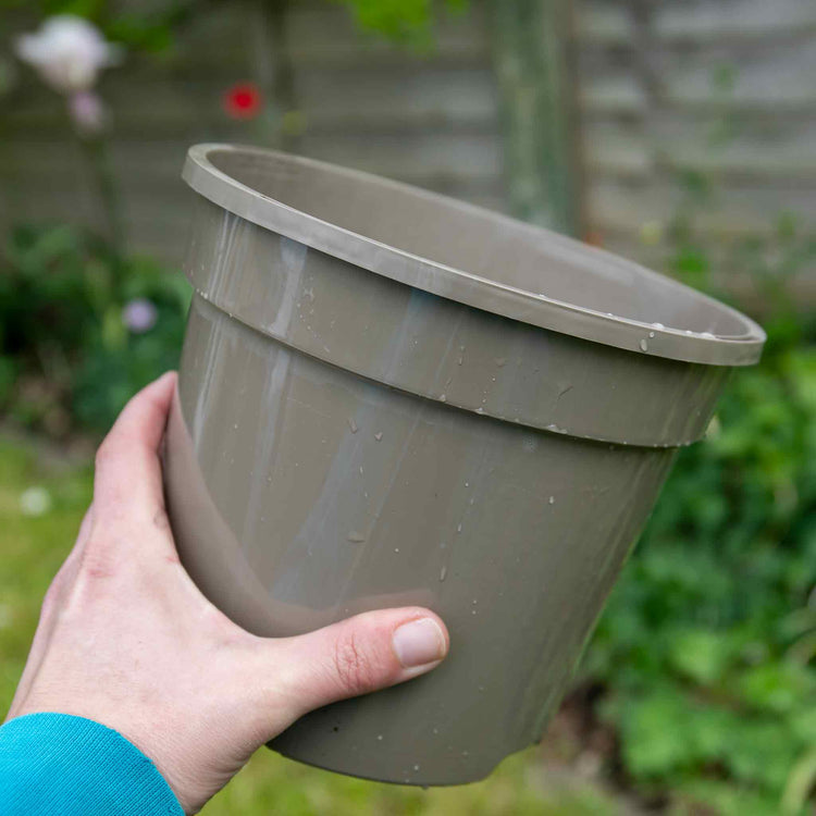 grey plant pots plastic Taupe-Grey Plastic Plant Pots - 20 x 3 Litre