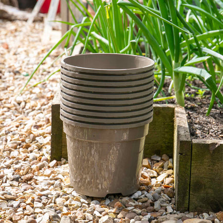 Taupe-Grey Plastic Plant Pots - 10 x 3 Litre