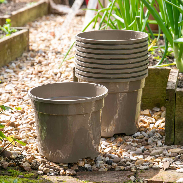 Taupe-Grey Plastic Plant Pots - 10 x 3 Litre