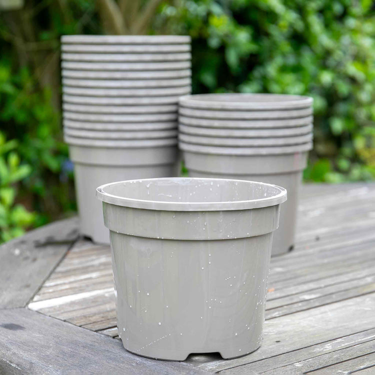 marshalls pots for plants Taupe-Grey Plastic Plant Pots - 20 x 3 Litre