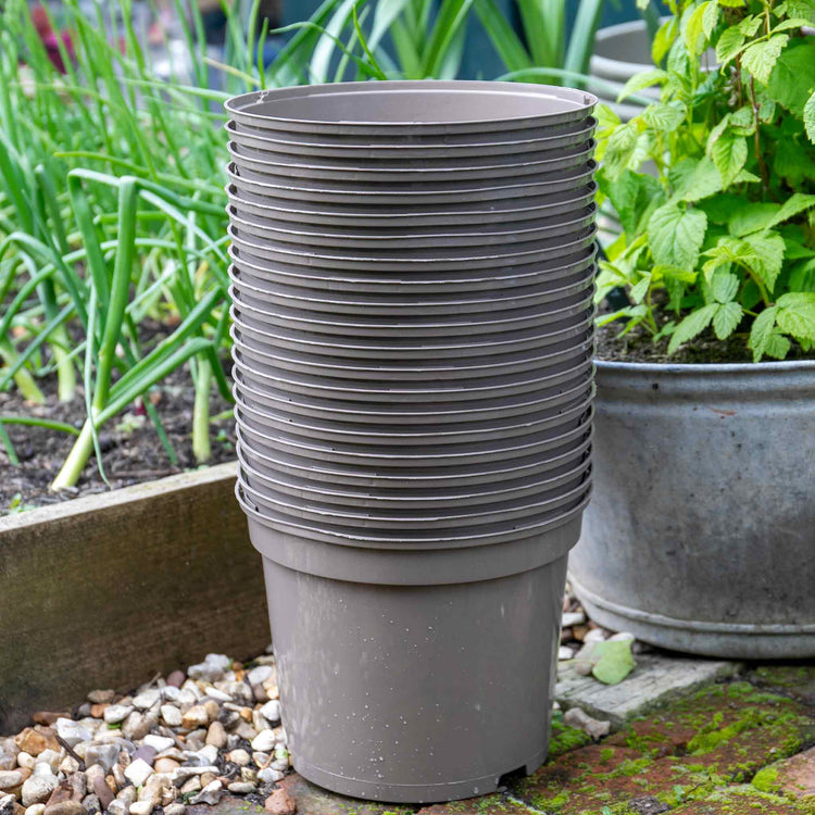 buy plant pots uk Taupe-Grey Plastic Plant Pots - 10 x 5 Litre