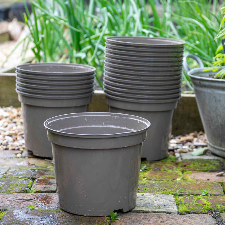 Taupe-Grey Plastic Plant Pots - 20 x 5 Litre