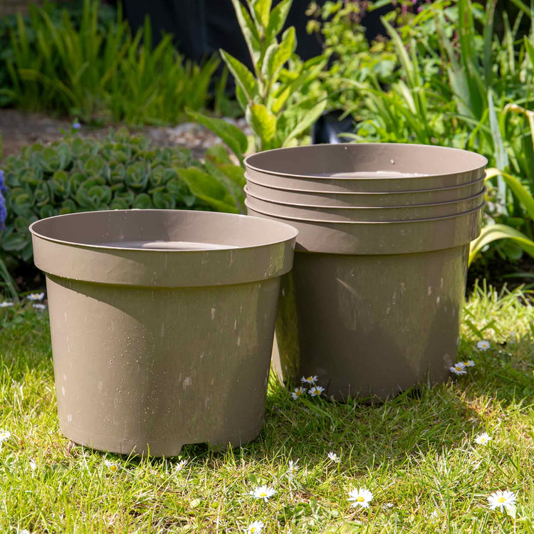 Taupe-Grey Plastic Plant Pots - 5 x 10 Litre