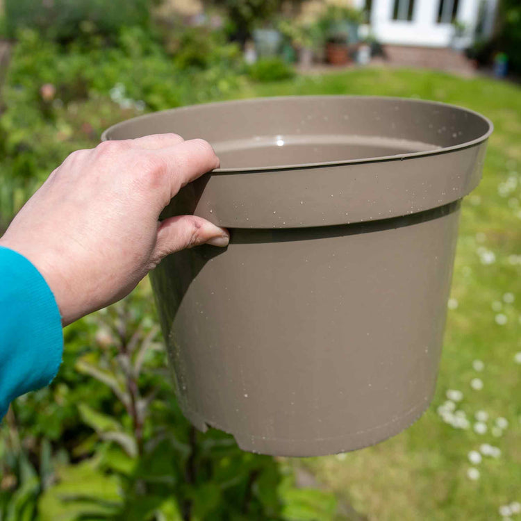10 litre plant pots Taupe-Grey Plastic Plant Pots - 5 x 10 Litre