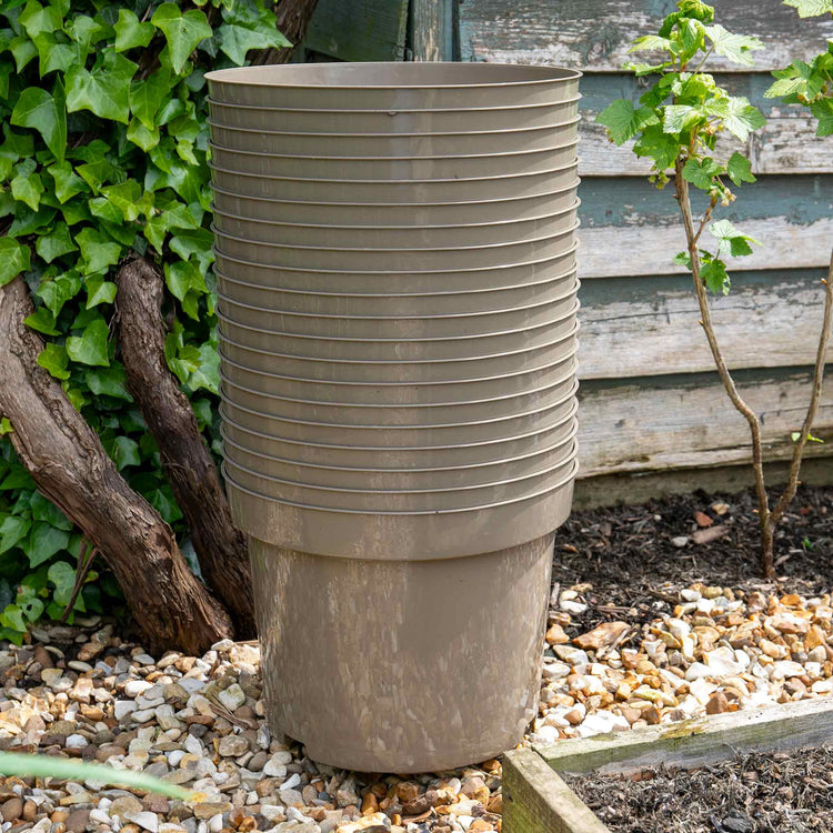 10 litre plastic plant pots Taupe-Grey Plastic Plant Pots - 5 x 10 Litre