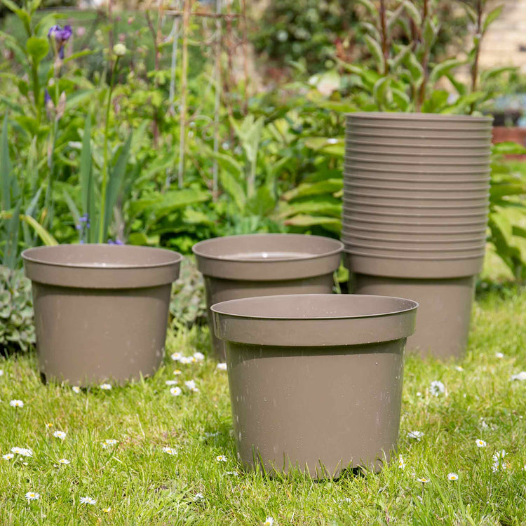 10 litre plant pot size Taupe-Grey Plastic Plant Pots - 5 x 10 Litre