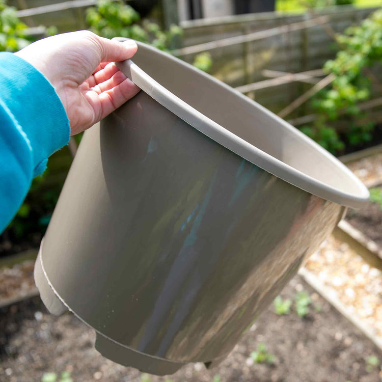 15l plant pots Taupe-Grey Plastic Plant Pots - 5 x 15 Litre