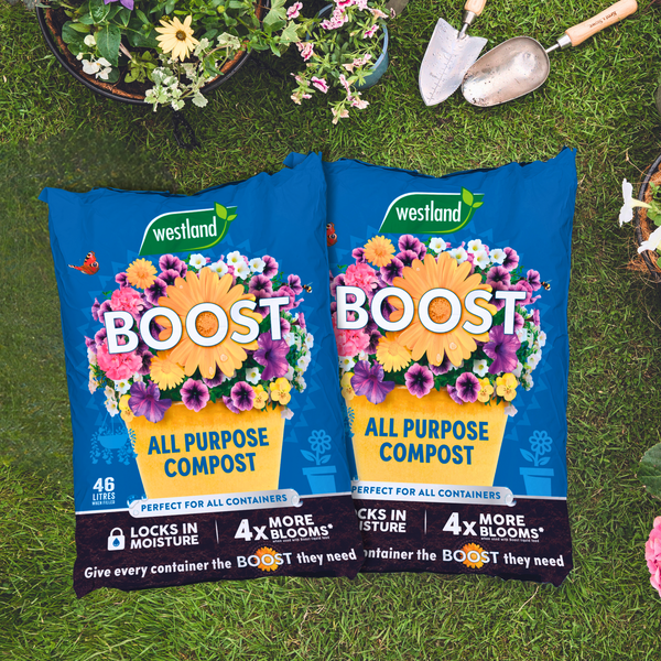 Westland Boost All-Purpose Peat Free Compost