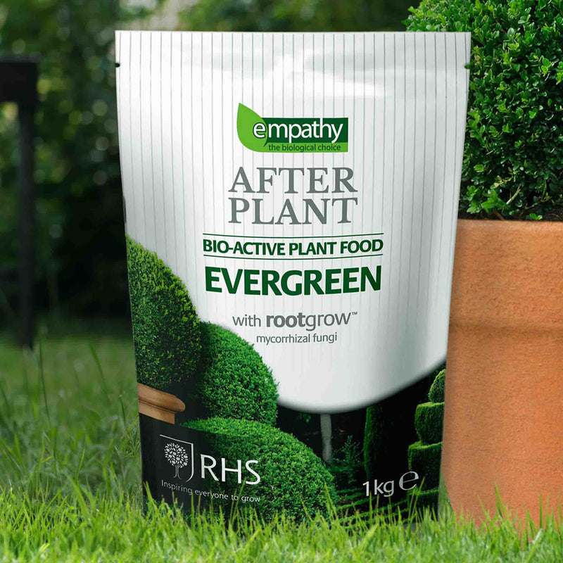 Empathy AfterPlant Evergreen Feed