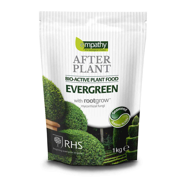 Empathy AfterPlant Evergreen Feed