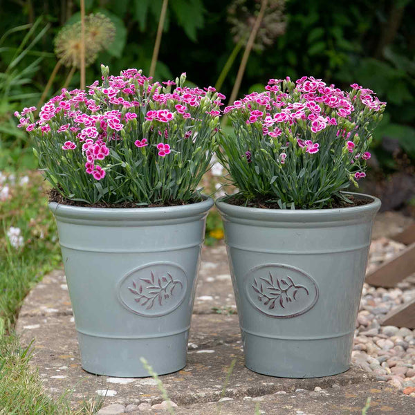 Grey Olive Planter 23cm - 2 Pack