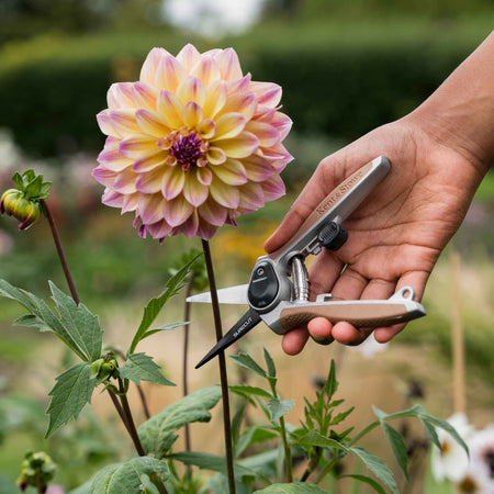 Garden Life Snips