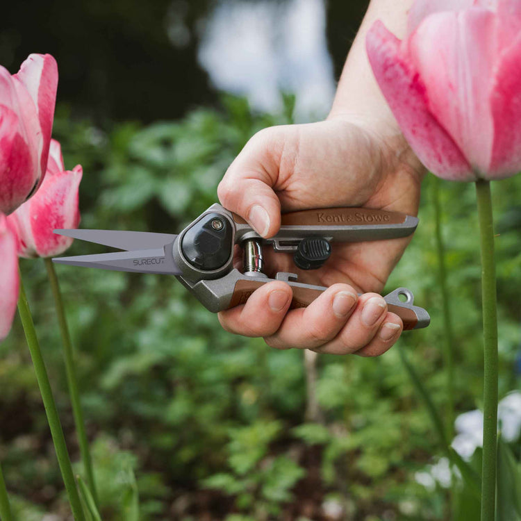 Garden Life Snips