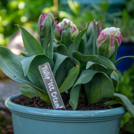 4in Aluminium Labels & Black Marker Pen