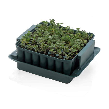 Compact Plug Plant Trainer