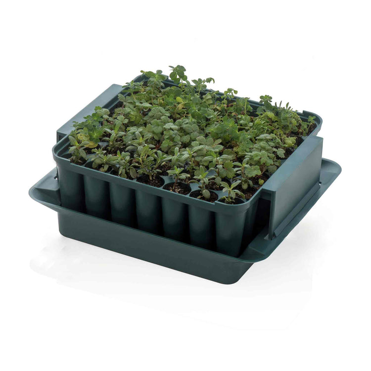 Compact Plug Plant Trainer