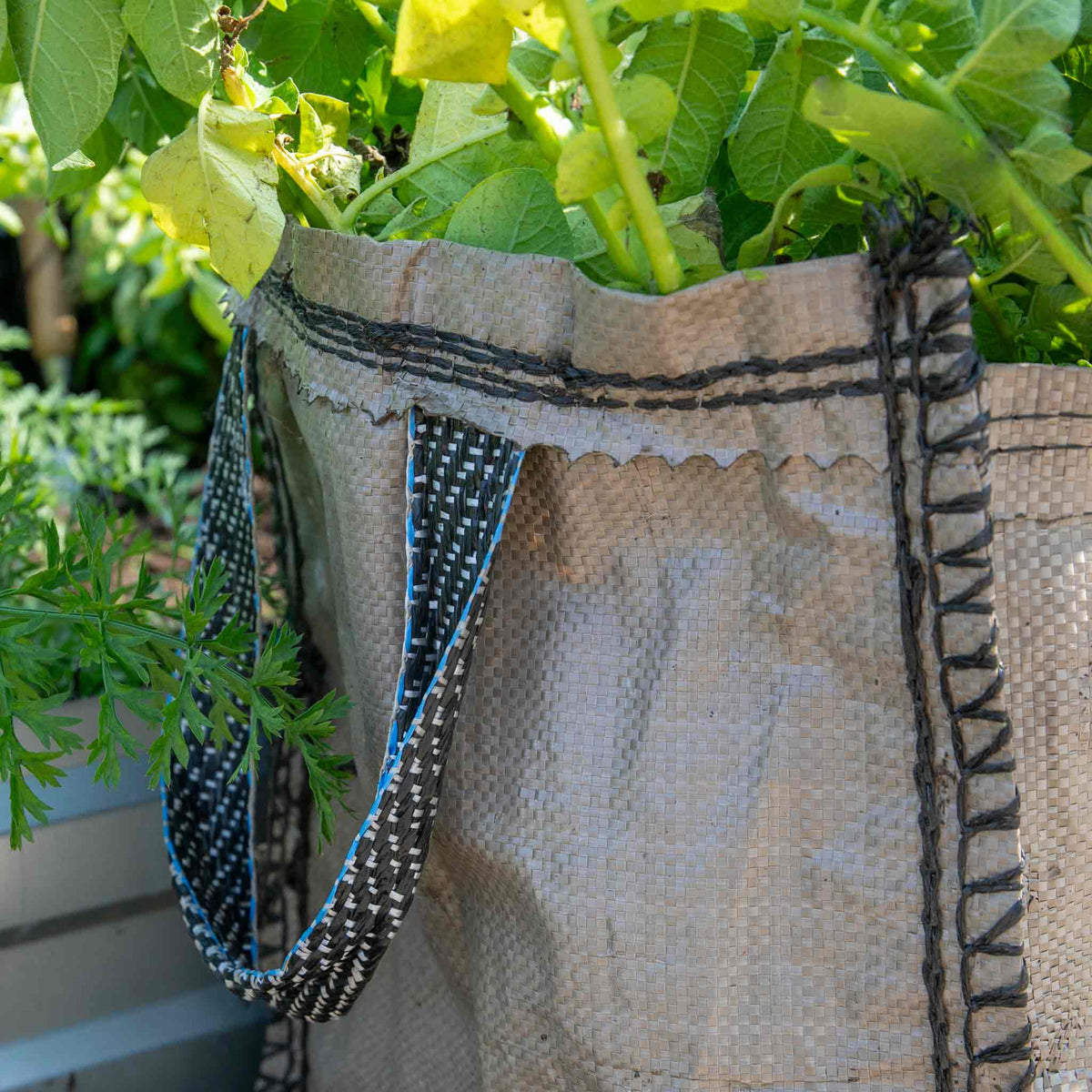 Potato Grow Sack | Marshalls Garden