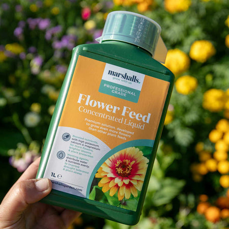 Marshalls Organic Liquid Flower Feed