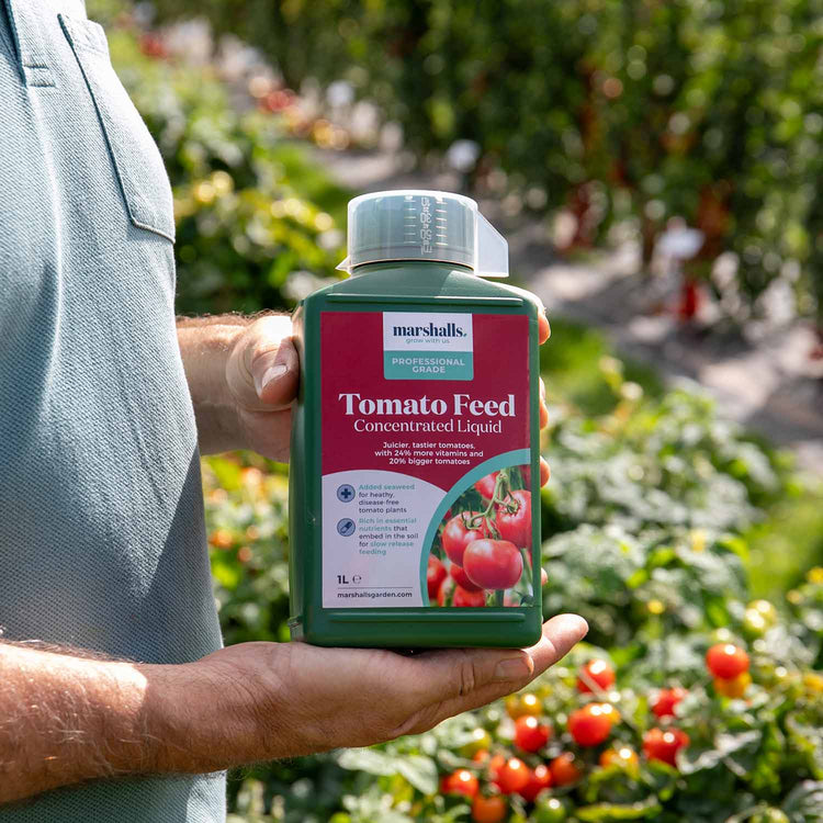 Marshalls Liquid Tomato Feed