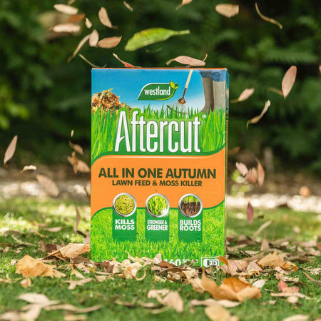 Aftercut All in One Autumn Lawn Feed and Moss Killer